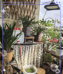 别墅园林绿化设计，打造私密空间，提升居住品质