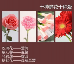 别墅园林绿化设计，打造私密空间，提升居住品质