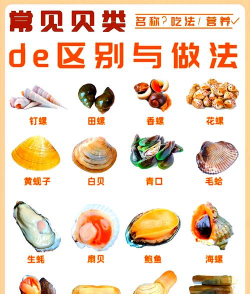 芍药花怎么养，掌握关键要点，花开更鲜艳