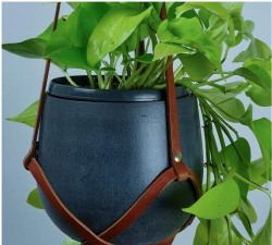 芍药花怎么养，掌握关键要点，花开更鲜艳