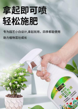 柿树虫病防治，识别常见虫害，掌握有效方法