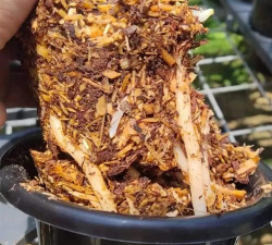 芍药花怎么养，掌握关键要点，花开更鲜艳