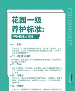 芍药花怎么养，掌握关键要点，花开更鲜艳