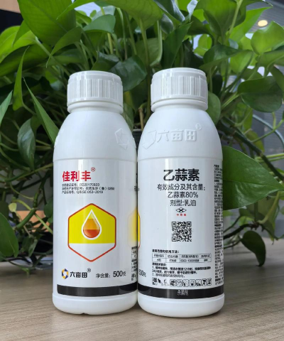 柿树虫病防治，识别常见虫害，掌握有效方法