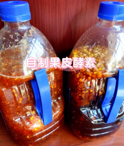 柿树虫病防治，识别常见虫害，掌握有效方法