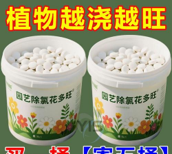 庭院景观绿化设计，打造舒适空间，提升生活品质