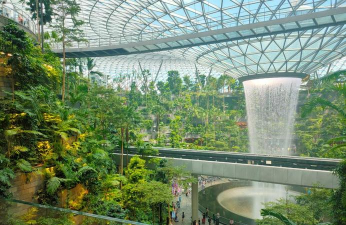 海棠花的栽培，选对品种很关键，掌握技巧不费力