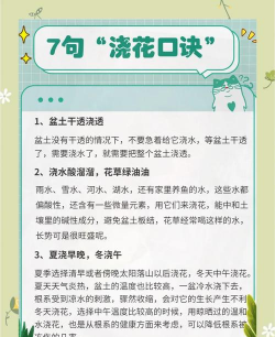 海棠花的栽培，选对品种很关键，掌握技巧不费力