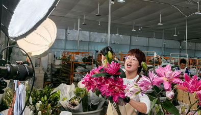 芍药花怎么养，掌握关键要点，花开更鲜艳