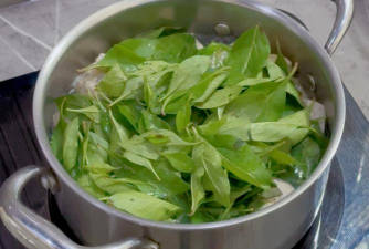 柿树虫病防治，识别常见虫害，掌握有效方法