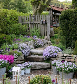 柿树虫病防治，识别常见虫害，掌握有效方法