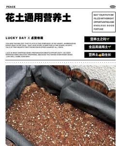 柿树虫病防治，识别常见虫害，掌握有效方法