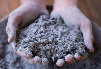 柿树虫病防治，识别常见虫害，掌握有效方法