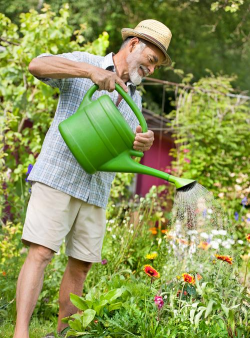 柿树虫病防治，识别常见虫害，掌握有效方法
