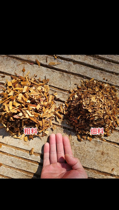 柿树虫病防治，识别常见虫害，掌握有效方法