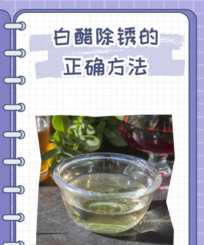 玫瑰花怎么养才不会枯萎，掌握浇水施肥技巧，轻松延长花期