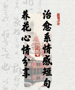 玫瑰花怎么养才不会枯萎，掌握浇水施肥技巧，轻松延长花期