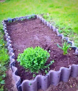 无土栽培技术，突破土壤限制，开启高效种植新篇章