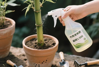 无土栽培技术，突破土壤限制，开启高效种植新篇章