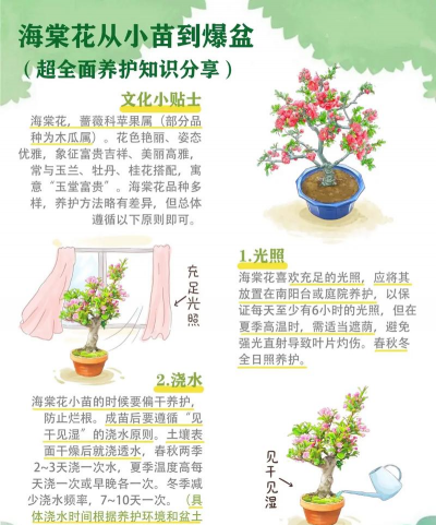 教室养花的好处