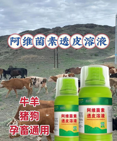 绿化景观设计，提升环境品质，创造宜人空间