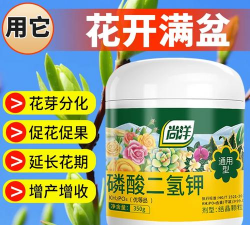 家庭养花用生根粉