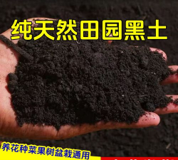 东北养花黑土壤