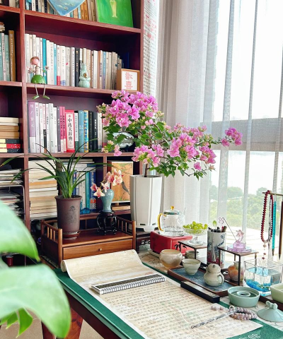 家庭养花用生根粉