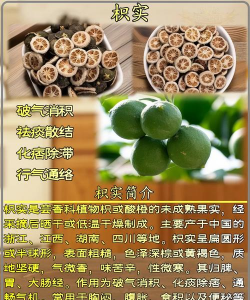 枳实养花的妙用