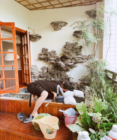 家庭养花用生根粉