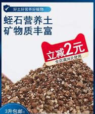 玫瑰花怎么养才不会枯萎，掌握浇水施肥技巧，轻松延长花期