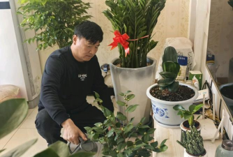 葡萄栽培，掌握关键技术，实现优质丰产