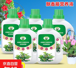 家庭养花用生根粉