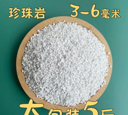 绿化景观设计，提升环境品质，创造宜人空间