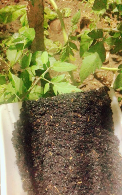 绿化景观设计，提升环境品质，创造宜人空间