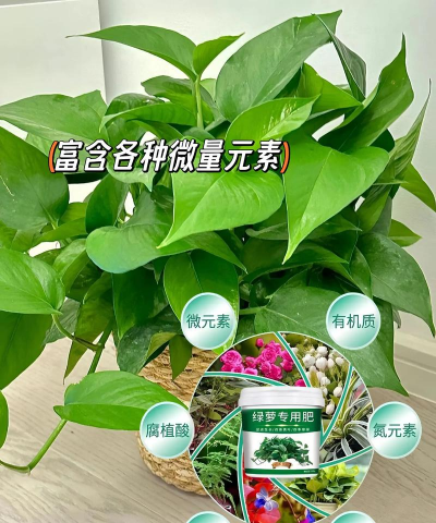 绿化景观设计，提升环境品质，创造宜人空间