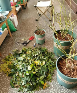 绿化景观设计，提升环境品质，创造宜人空间