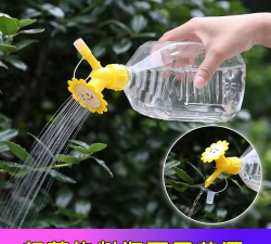 葡萄栽培，掌握关键技术，实现优质丰产