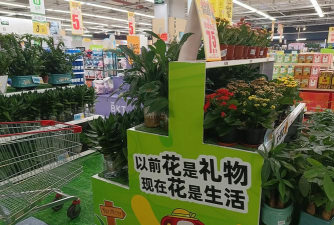 家庭养花用生根粉