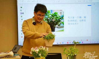 家庭养花用生根粉