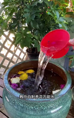 家庭养花用生根粉