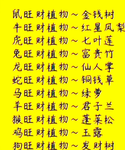 属相养花财运如何