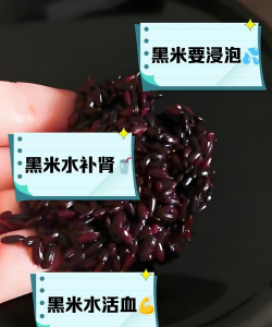 黑米水养花