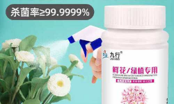 家庭养花用生根粉