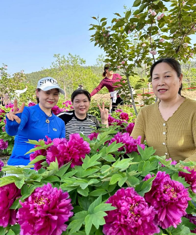家庭养花用生根粉