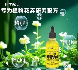 家庭养花用生根粉