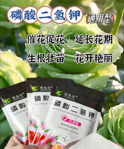 家庭养花用生根粉