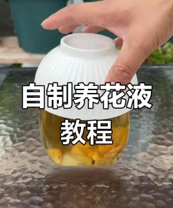 家庭养花用生根粉