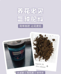 家庭养花用生根粉