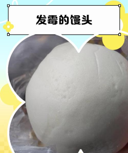 发霉馒头养花李